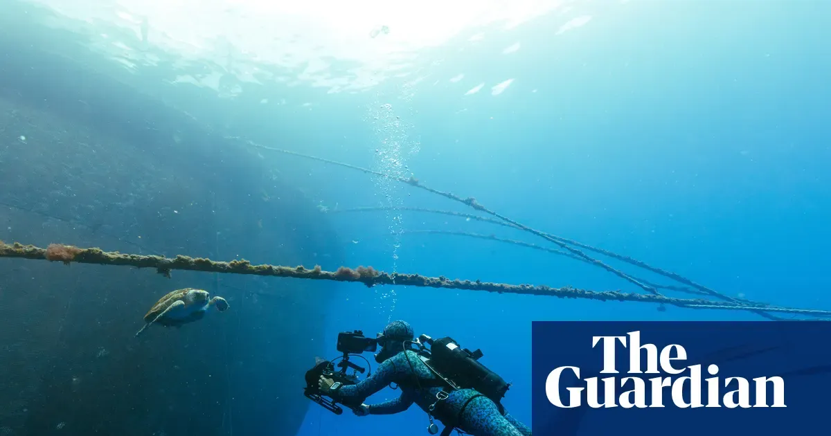 Illustration from the Guardian: BBC's Blue Planet III keeps murky, unpolished footage to show audiences it was not made with AI